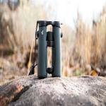 SWAROVSKI EL 10X50 Binocular - Green