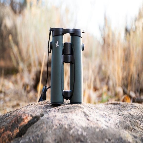 SWAROVSKI EL 10X50 Binocular - Green