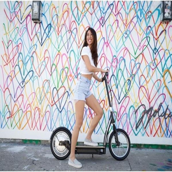 RAZOR E-SCOOTER ECOSMART HD SUP 25KM/H - 13173819
