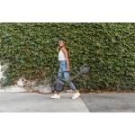 RAZOR E-SCOOTER C25 GRAY 25KM/H 36V 18+ - 13173820
