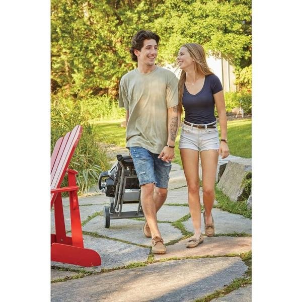 NAPOLEON TRAVELQ TM PRO285 PORTABLE GRILL TRAVEL Q PRO LPG BLACK 1 - PRO285X-BK-RC