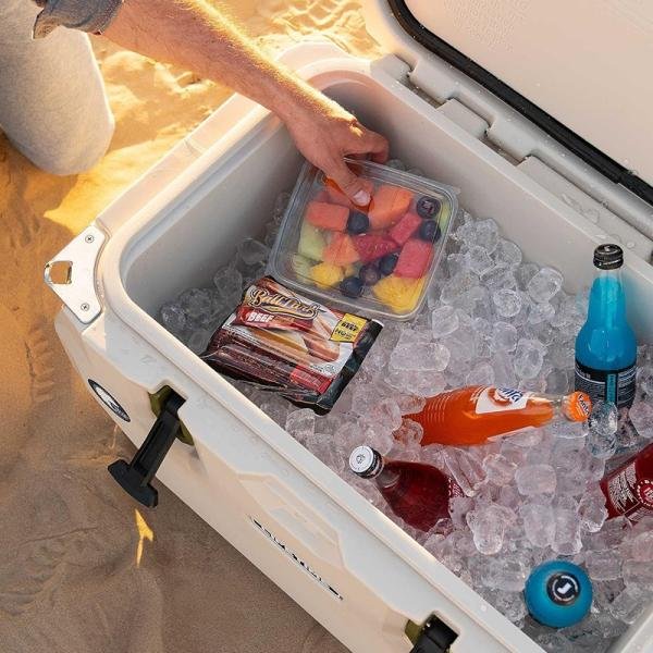 LIFETIME COOLER 65 QUART, PUMICE STONE - 91131