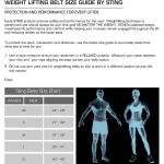 STING ECO LEATHER LIFTING BELT 6INCH - L - BLACK / GOLD - S10W-BS63