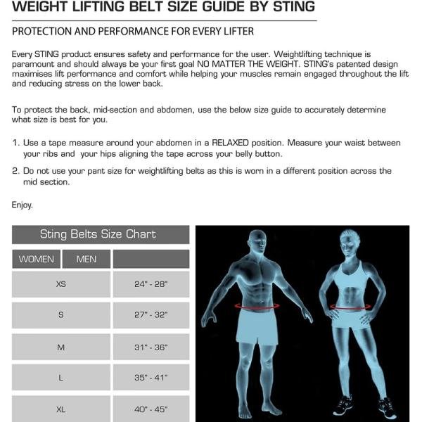 STING ECO LEATHER LIFTING BELT 6INCH - L - BLACK / GOLD - S10W-BS63