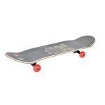 Winmax GRIFFIN SKATEBOARD - WME71867