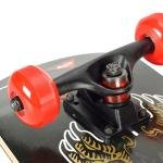 Winmax GRIFFIN SKATEBOARD - WME71867