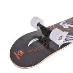 Winmax ETHNIC-GR SKATEBOARD - WME75162
