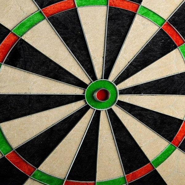 WINMAX BRONZE MATCH PLAY BRISTLE DARTBOARD - WMG11504