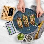 TRAEGER MEATER BLOCK WIRELESS MEAT THERMOMETER - RT3-MT-MB01