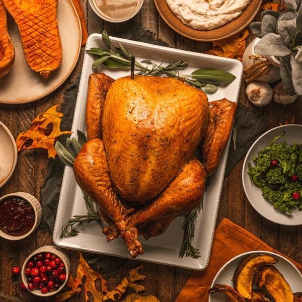 TRAEGER MEATER PLUS WIRELESS MEAT THERMOMETER - RT3-MT-MP01