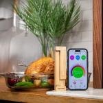 TRAEGER MEATER PRO WIRELESS MEAT THERMOMETER - RTE-MT-MP201