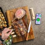 TRAEGER MEATER PRO WIRELESS MEAT THERMOMETER - RTE-MT-MP201