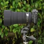 EasyCover Lens Oak for Sigma 150-600mm f/5-6.3 DG OS HSM Contemporary Black - LOS150600CB