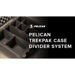 Pelican 1600TP,WL/TP INSERT,BLACK - 016000-0050-110