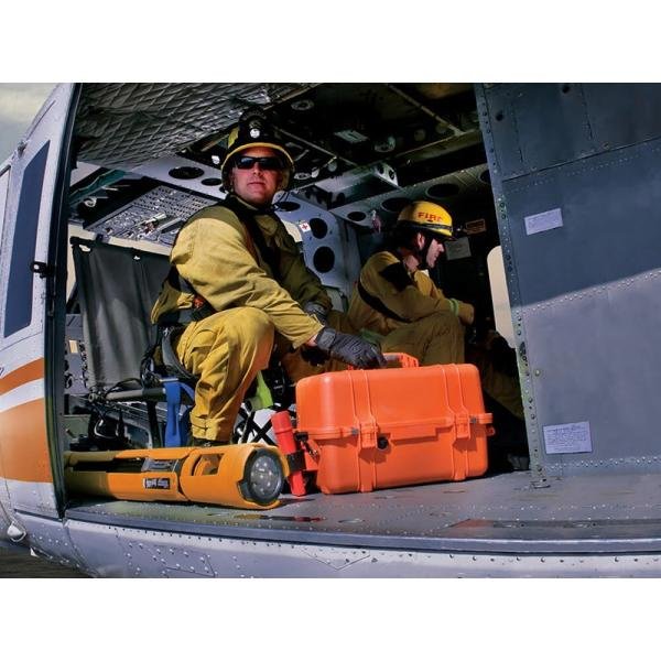 Pelican 1460EMS,WL/EMS,BLACK - 1460-005-110