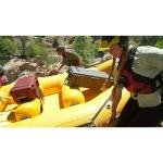 Pelican 1600NF,WL/NF,OD GREEN - 1600-001-130