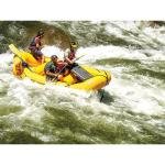 Pelican 1630NF,WL/NF,BLACK - 1630-001-110