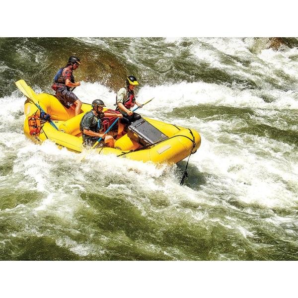 Pelican 1650NF,WL/NF,BLACK - 1650-021-110
