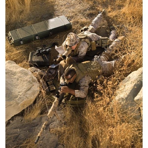 Pelican IM3100,PELICAN,EMPTY,OD - IM3100-30000