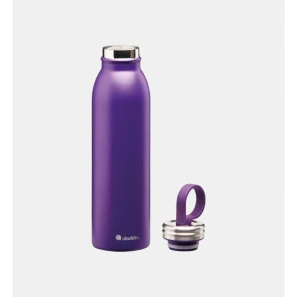 Aladdin Chilled Thermavac Wtr Btl 0.55L Riverside Indigo - 10-09425-008