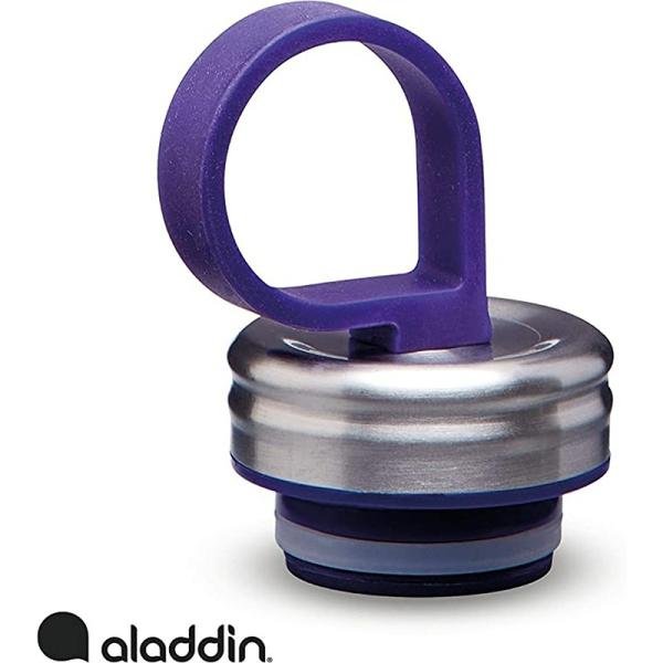 Aladdin Chilled Thermavac Wtr Btl 0.55L Riverside Indigo - 10-09425-008