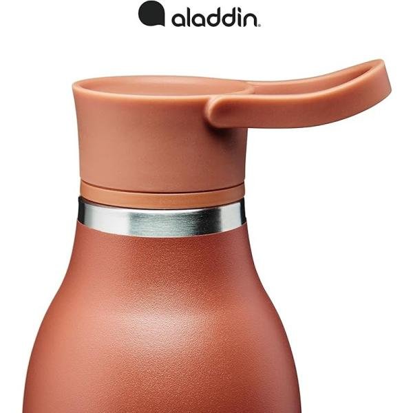Aladdin 0.6L Cityloop Thermvac Btl Terra Cotta - 10-10870-008