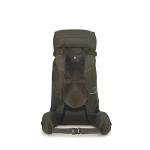 Osprey Kestrel 38 Bonsai Green L/XL - 10004769