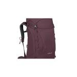 Osprey Kyte 58 Elderberry Purple WM/L - 10004781