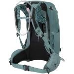 Osprey Mira 22 w/Res Succulent Green O/S - 10004821