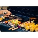 Campingaz BBQ 2 Series EXS Vario D **C** - CAM3000006591