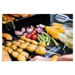 Campingaz BBQ 2 Series EXS Vario D **C** - CAM3000006591