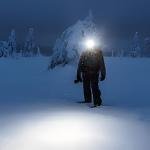 Ledlenser MH7 Black&Yellow Window Box **EOL** - LL502154