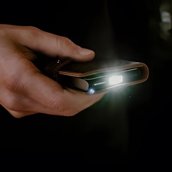 Ledlenser Lite Wallet Classic Chestnut **EOL** - LL502326