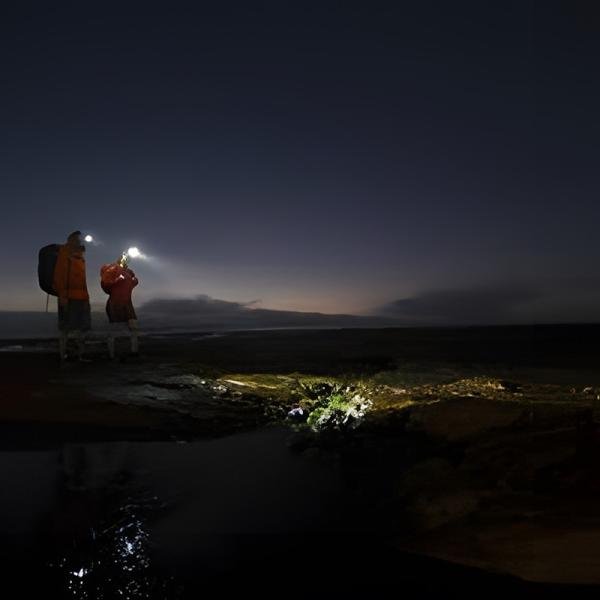 Ledlenser SEO5 Red Box **EOL** - LL6006